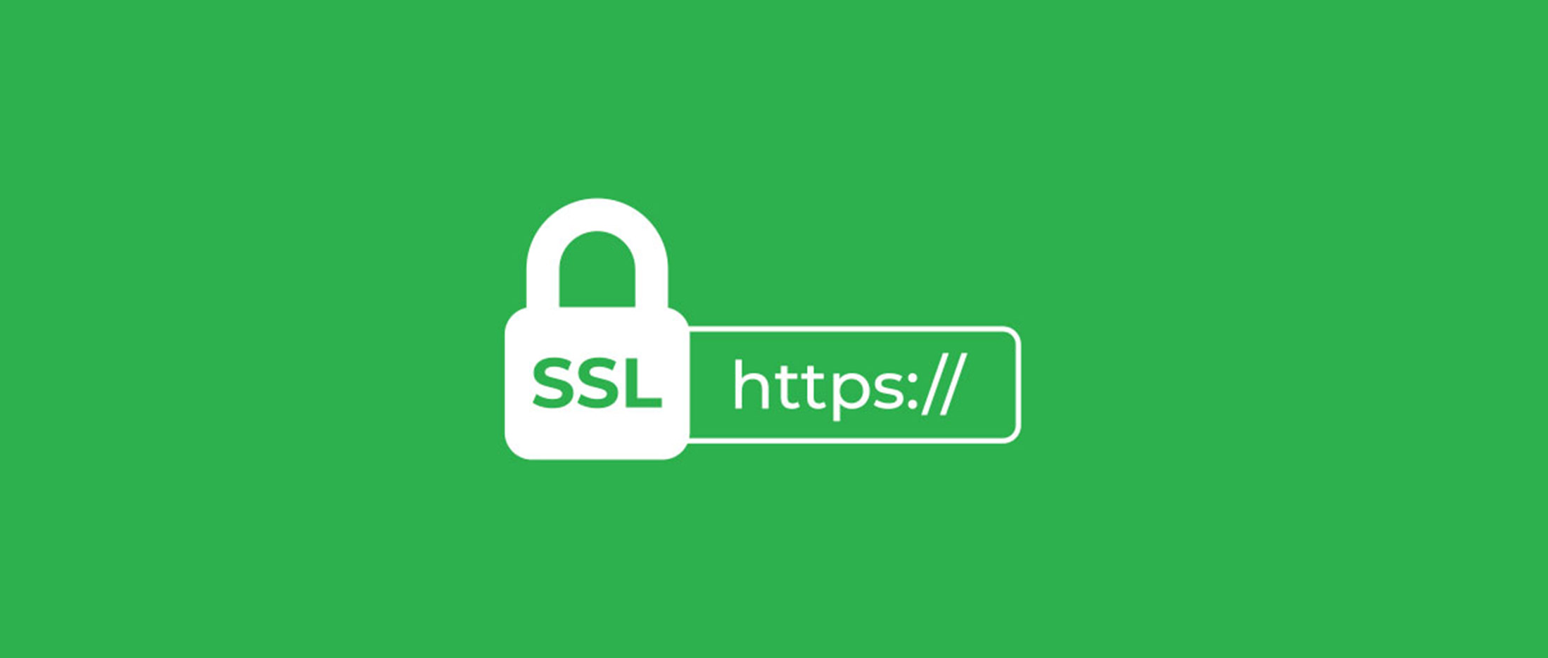 A Visitor’s Guide to SSL Certificates
